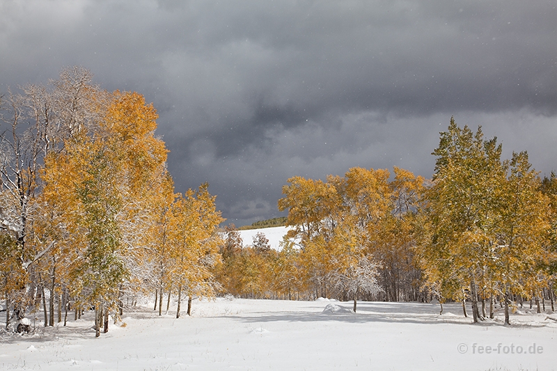 Schnee auf dem Boulder Mountain